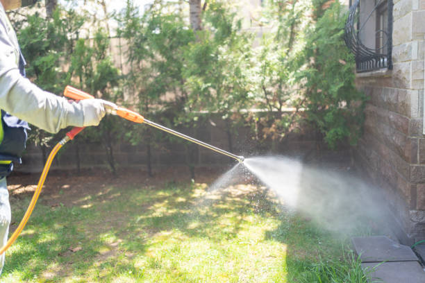 Best Spider Control Near Me  in Dallas, TX
